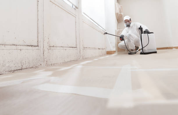 24/7 Emergency Commercial Mold Remediation experts in Vandalia, IL