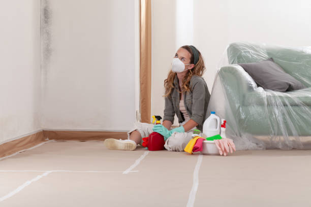 Reliable Commercial Mold Remediation contractor in Vandalia, IL by WQB Mold Removal