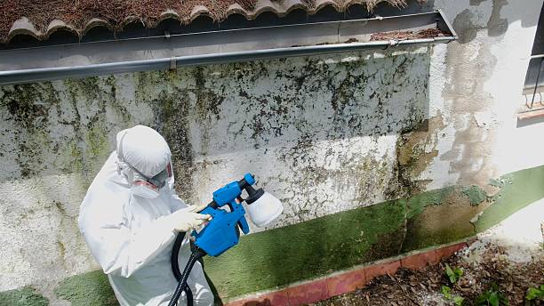 Top rated local Commercial Mold Remediation specialists in Vandalia, IL